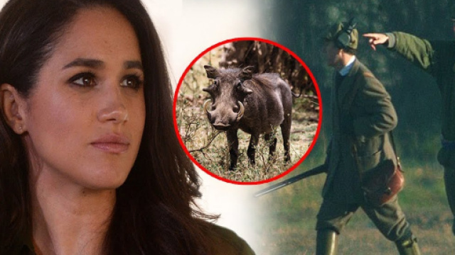 Meghan Markle Harry hunting refuse
