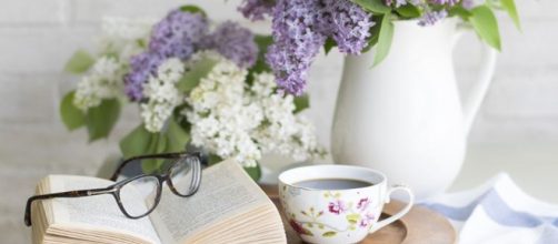 Four interesting books by an Albanian author - Image credit - CCO | Pixabay