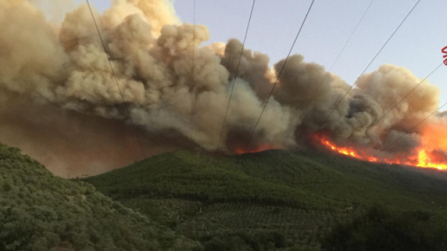 Fermato il presunto piromane dell'incendio sul Monte Serra