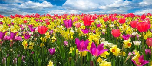 Spring is the perfect time of year to take a holiday. [Image Pixabay]