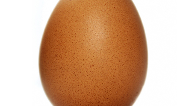 Les oeufs que nous consommons sont ils cruelty free ?