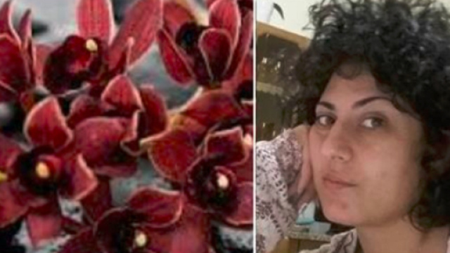 Natale di dolore a Pozzuoli, Paola muore improvvisamente a 32 anni: lascia 2 figli