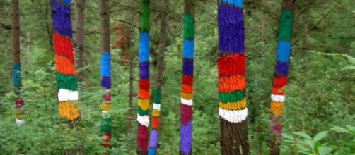 The Painted Forest of Oma [Image Javi/Flickr]