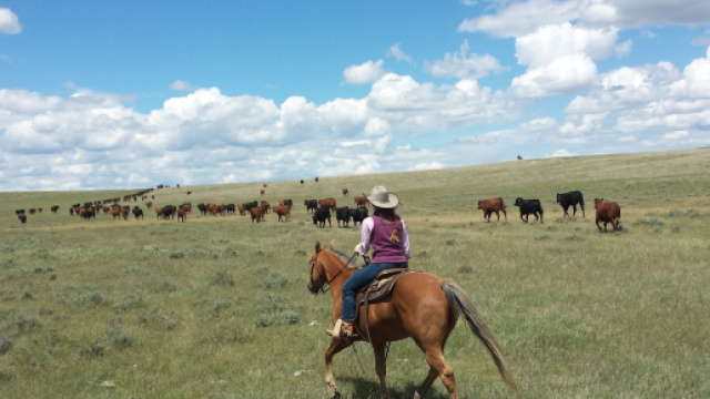 Casting per il film 'Lessons of Love' e per la trasmissione 'Ciao Darwin'