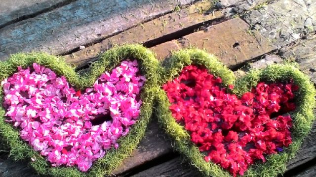 lunedemielbali &ndash; Circuit Lune de Miel 13 jours et 12 nuits - lunedemielbali.com