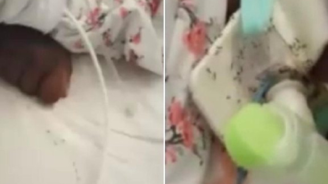 Termometro Politico - Forum - termometropolitico.it