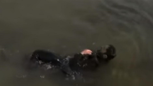 Il Segreto anticipazioni dal 10 al 14 dicembre: Prudencio spara a Saul