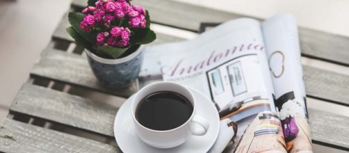 With all the current news, some interesting and weird stories often slip through the cracks. [Image Pixabay]