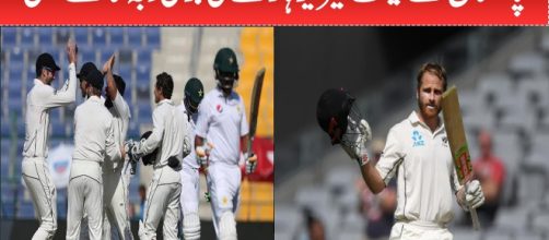 New Zealand celebrate victory. Photo-( image credit - cricket expert-Youtube.com)