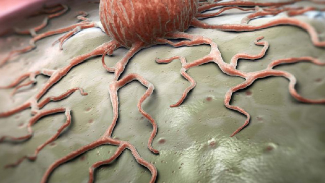 Tumore: per il Nobel Honjo entro il 2050 sar&agrave; sconfitto dall'immunoterapia