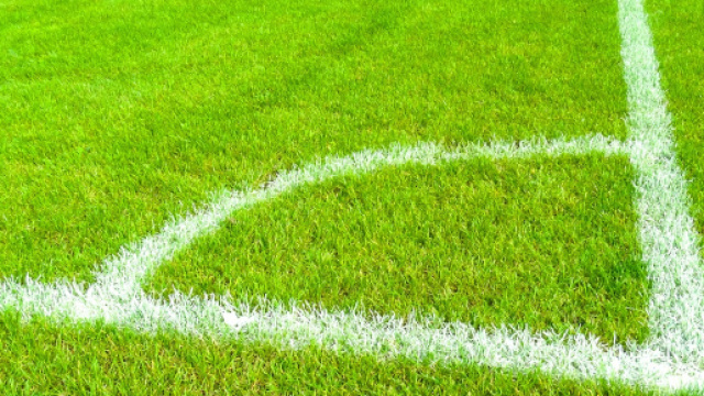 Pronostici Champions League di marted&igrave; 11 dicembre