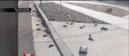 At&eacute; o momento, as mortes continuam insol&uacute;veis (Fox News)