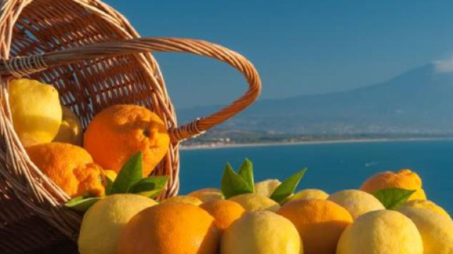 Limoni e agrumi di sicilia serviranno a fare una nuova bioplastica (fonte guidasicilia)