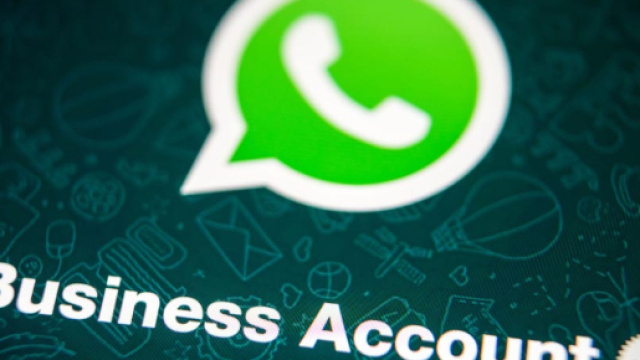 WhatsApp - virgilio.it, business account