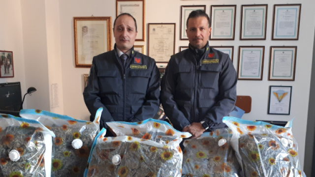La droga nella spazzatura sequestrata dalla Guardia di Finanza