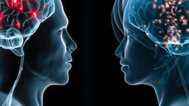 L'attivit&agrave; neuronale tra maschi e femmine - Ojo