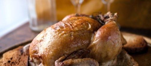 Beneficios de la piel del pollo