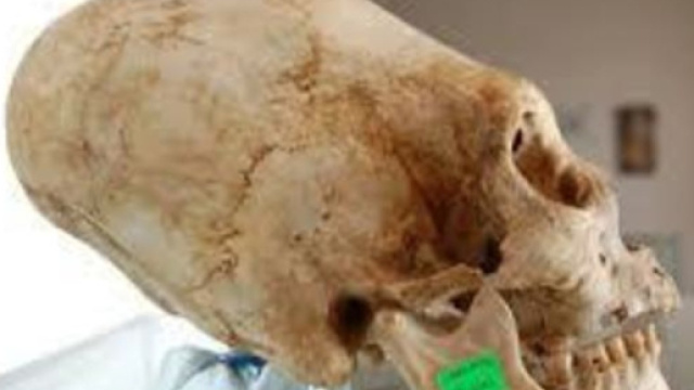 Crani di Paracas: il contestato responso del Dna