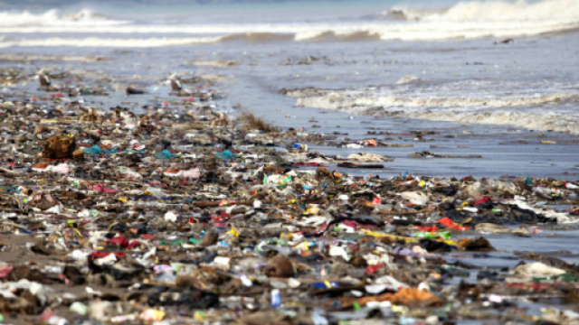 Dopo i sacchetti biodegradabili si pensa alle bottiglie in plastica "naturale"