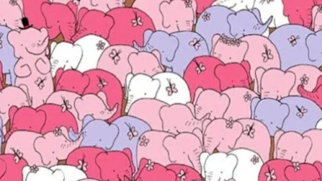 Il rompicapo degli elefanti: nel web &egrave; virale
