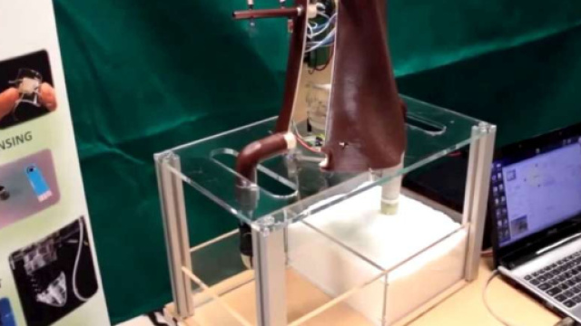 Plantoidi, robots che traggono ispirazioni dalle piante per forme e funzioni