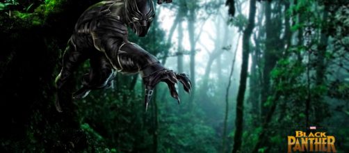 Black Panther in action! (Image via Bryan K Ward/Flickr)