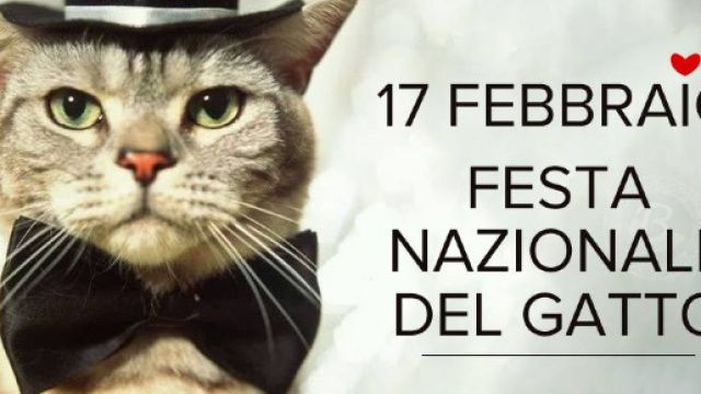 Oggi &egrave; la Festa nazionale del gatto | Informagiovani Agropoli - informagiovaniagropoli.it