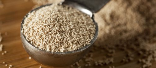 La avena es una gran alternativa para los cultivos.