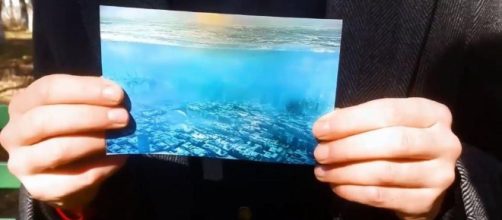 Time-traveller' Edward claims he's returned from the year 5,000 ... - thesun.co.uk