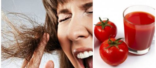 Tomate para el cabello maltratado &iexcl;SOLUCI&Oacute;N PERFECTA! - tratamientoparacabello.com
