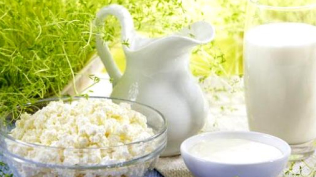 Alcuni ceppi di probiotici migliorano la digestione del lattosio.