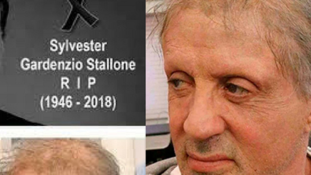 Sylvester Stallone &egrave; morto: la notizia che corre veloce sul web