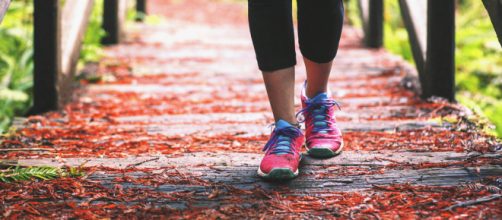 Caminar es un ejercicio aer&oacute;bico completo. Public Domain.