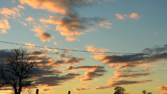 D&eacute;blat&eacute;rations philosophiques sur le bonheur pas que made in Gers ... - gersicottigersicotta.fr