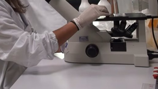 Importante successo per la ricerca