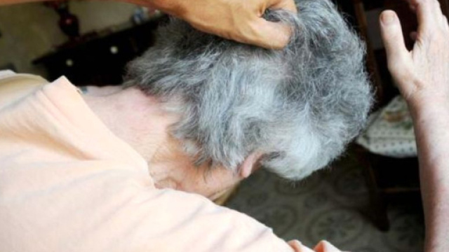 Anziana donna aggredita a Padova lista Lorenzin - padovaoggi.it