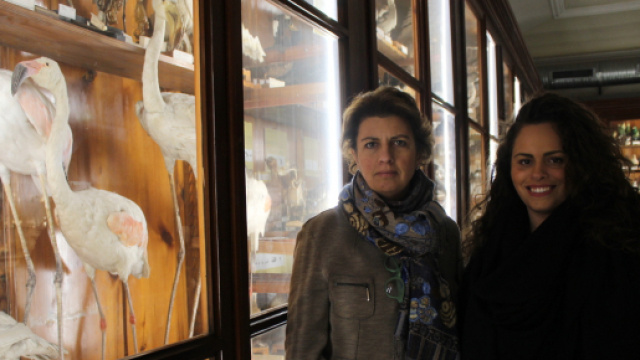 A sinistra la direttrice del museo, la professoressa Sabrina Lo Brutto, a destra Sara Volpes, coordinatrice di Vivere Scienze MMFFNN