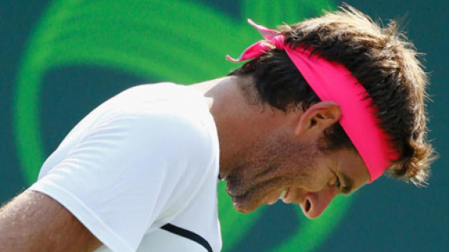 Delray Beach : Del Potro stopp&eacute; par Sam Querrey - francetvinfo.fr