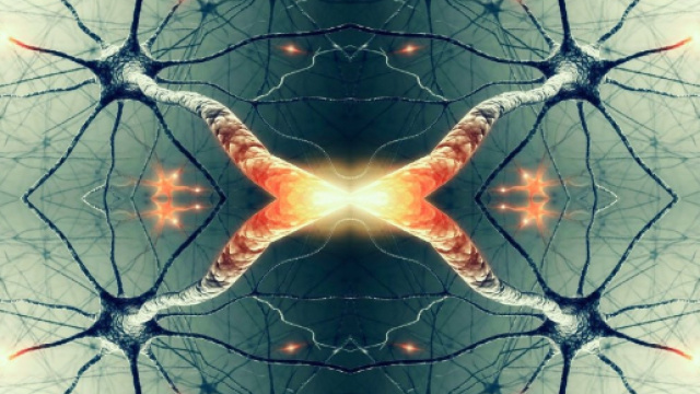 LA NEUROETICA Di cosa si occupa? Groovehall Magazine - groovehall.com