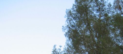 American school districts display signage indicating schools are drug and gun free zones (Image by Marcus Quigmire via Wikimedia)