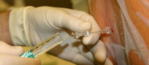 By DocP - Own work, CC BY-SA 2.0 de, https://commons.wikimedia.org/w/index.php?curid=4650956