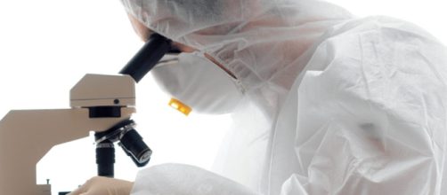 C&oacute;mo eliminar los par&aacute;sitos pat&oacute;genos del organismo.