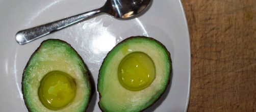 Food. - [Image via Danny VB/Flickr]