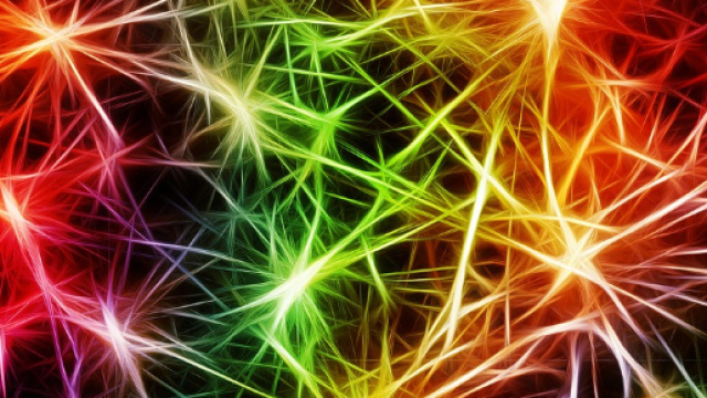 Lo stress cambia il cervello - style24.it