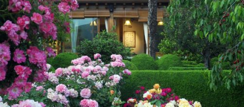 jardines ideales para ti ahora mismo