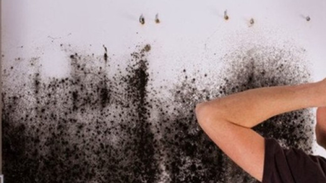 Cosa c'&egrave; da fare se notiamo macchie di umidit&agrave; nell nostro appartamento