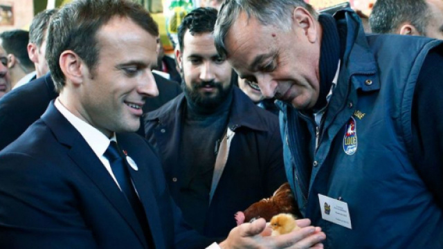 Au salon de l'agriculture, Emmanuel Macron adopte une poule