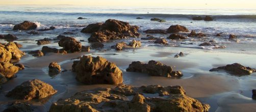 Malibu. - [Alfredo Hernandez via Wikimedia Commons]
