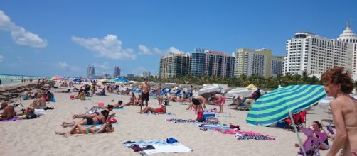 Survivor of Parkland shooting is calling for boycott of Florida for Spring Break. Photo Credit: Wikimedia Commons/ Madison Pereira/CC 3.0