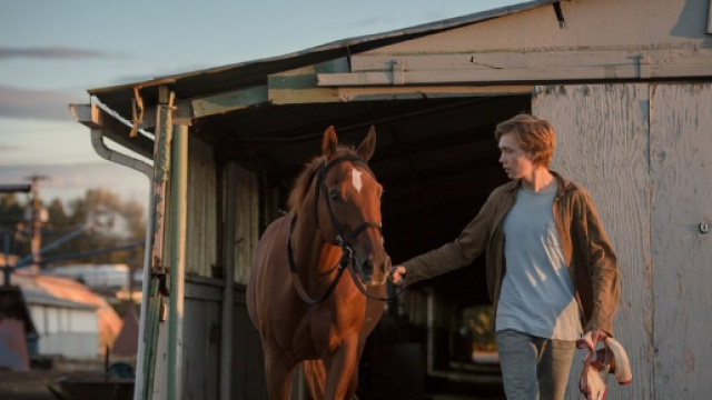 Lean on Pete: recensione del film di Andrew Haigh - Movieplayer.it - movieplayer.it